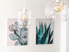 Los Cactus 1